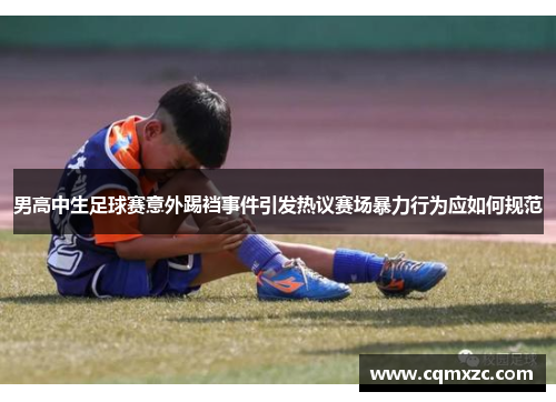 男高中生足球赛意外踢裆事件引发热议赛场暴力行为应如何规范